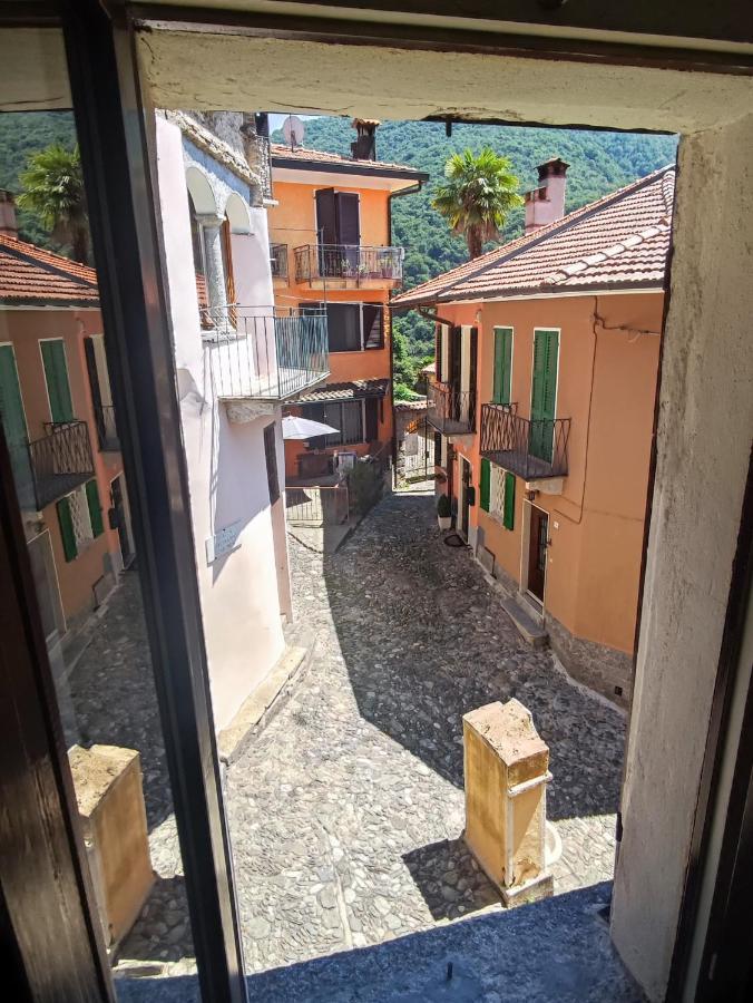 Mo&Ma - Panorama E Relax Apartment Maccagno ภายนอก รูปภาพ
